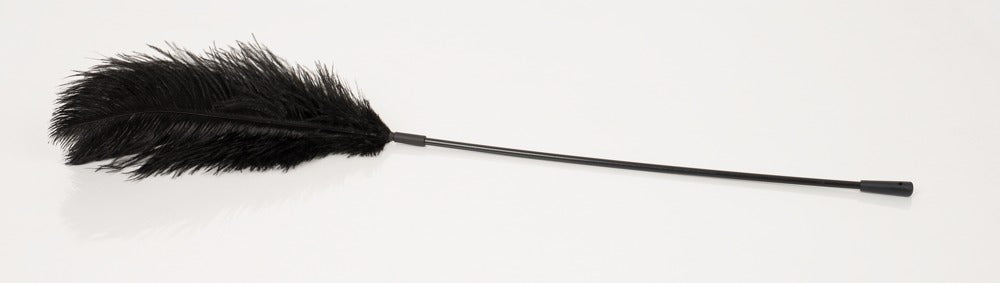 Bad Kitty schwarze Kitzelfeder mit weichem, flauschigem Federpuschel und langem, dünnem Stiel, horizontal ausgestreckt in freigestellter Produktansicht auf weißem Hintergrund – erhältlich bei Evoria Care