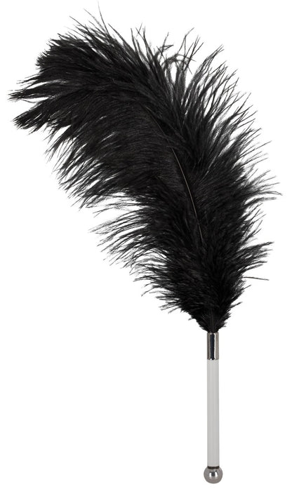 Bad Kitty Feder schwarz Acryl - Produktansicht 1