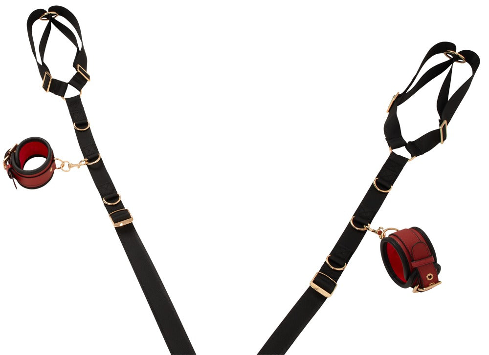 Detailansicht eines Gurtes mit Karabiner und roter Manschette