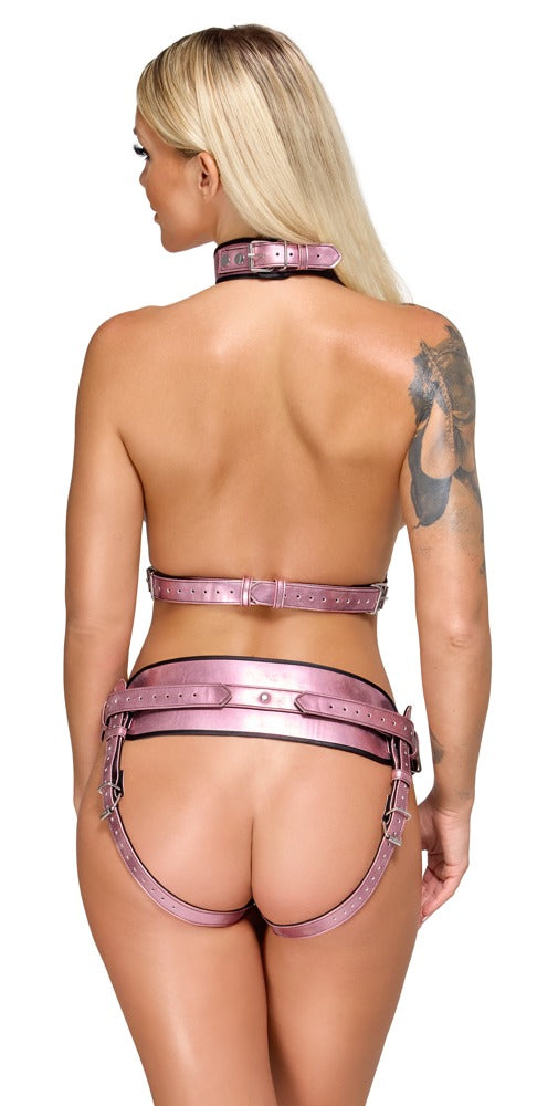 Rückansicht des Bad Kitty Brust-Harness und Strap-on-Jock Sets