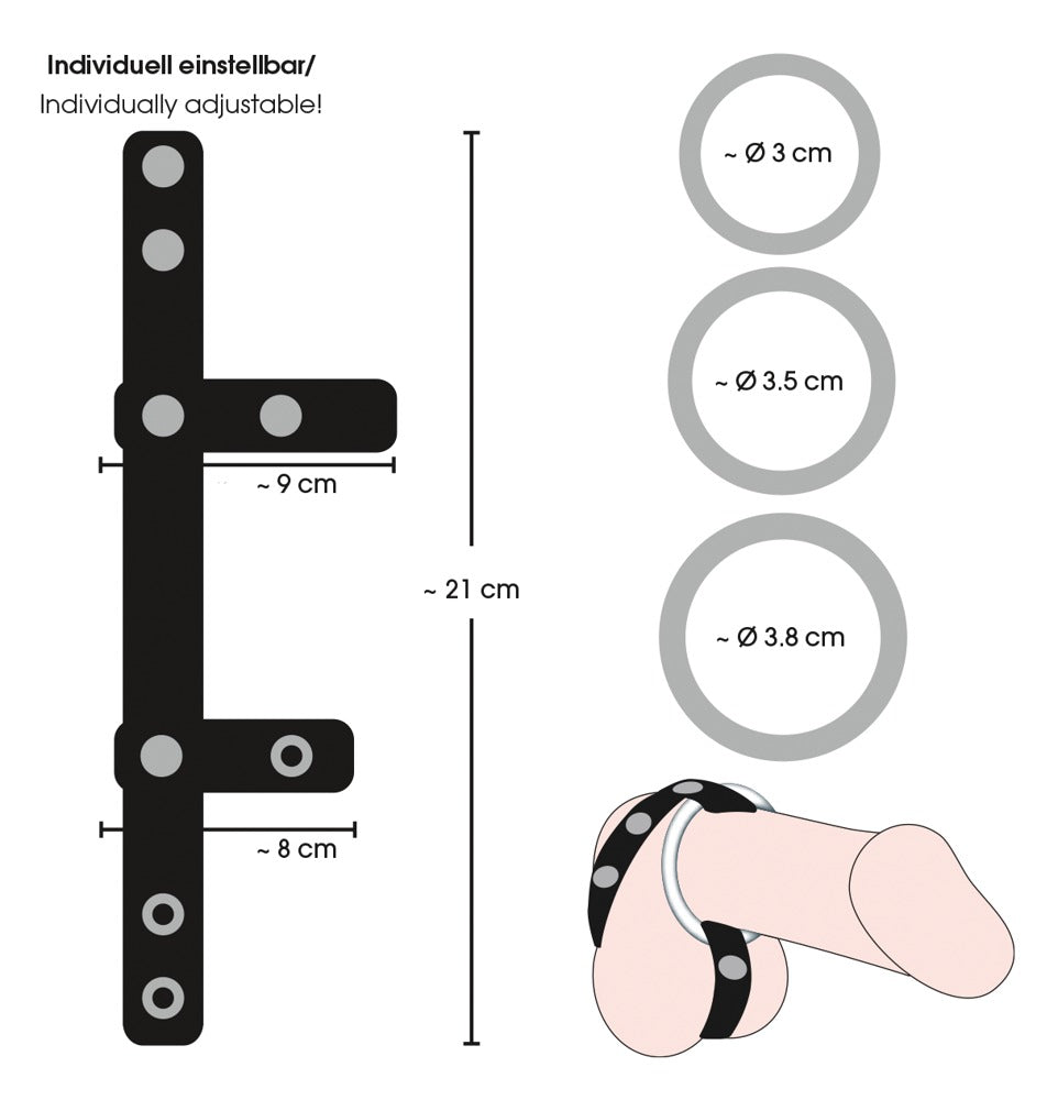 Bad Kitty Cock/Ball Ring mit technischer Darstellung der schwarzen Halterung und drei Metallringen mit Maßangaben – erhältlich bei Evoria Care