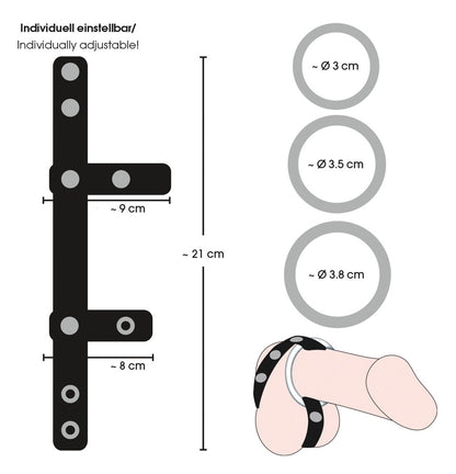 Bad Kitty Cock/Ball Ring mit technischer Darstellung der schwarzen Halterung und drei Metallringen mit Maßangaben – erhältlich bei Evoria Care