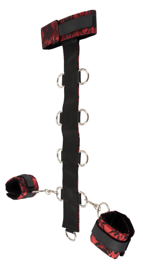 Bad Kitty Halsfessel mit rot-schwarzem Satin-Spitzenband, breiter Halsmanschette und seitlichen Befestigungsringen in freigestellter Vorderansicht – erhältlich bei Evoria Care