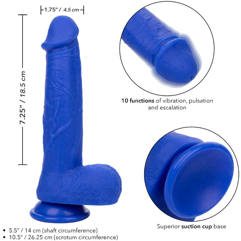 CalExotics Admiral Captain realistischer Vibrator mit Produktgrafik zu Maßen, strukturierter Oberfläche und Saugnapf – erhältlich bei Evoria Care