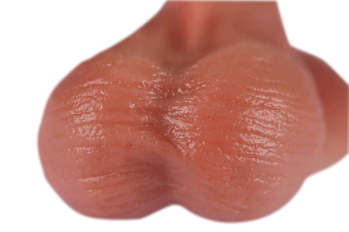 MALESATION Real Dildo Mini – Detailansicht der Unterseite mit zwei anatomisch geformten Hoden, sichtbarer Mittelfurche und realistischer Hautstruktur auf weißem Hintergrund – erhältlich bei Evoria Care