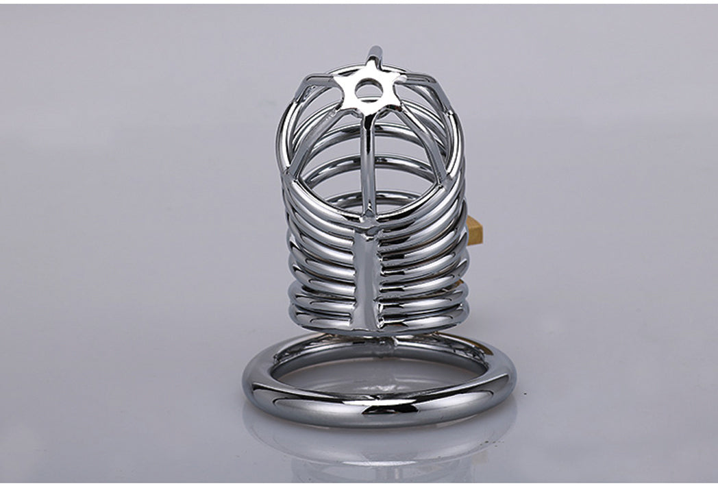 XX-DREAMSTOYS Metal Cock Cage Snake Shape – Detailansicht von Verschluss und Zubehör des silberfarbenen Metall-Peniskäfigs – erhältlich bei Evoria Care