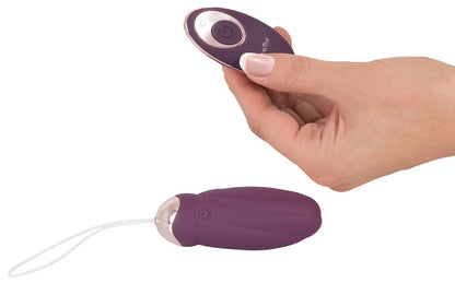 Bedienung der Fernsteuerung des Vibro-Eis