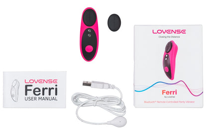 Lovense Ferri Panty Vibrator mit Verpackung und Zubehör