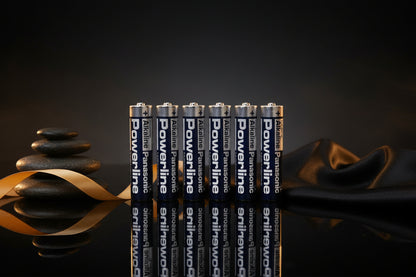 Panasonic AAA Power-Batterien im 10er-Pack für batteriebetriebene Intimate-Wellness-Produkte