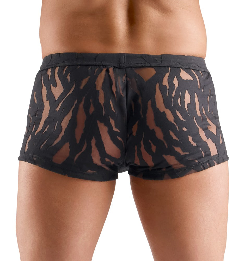 Rückansicht der Svenjoyment Ausbrenner-Pants am Model