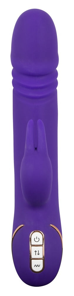 Vibe Couture Rabbit Skater Detailansicht mit strukturierter Spitze