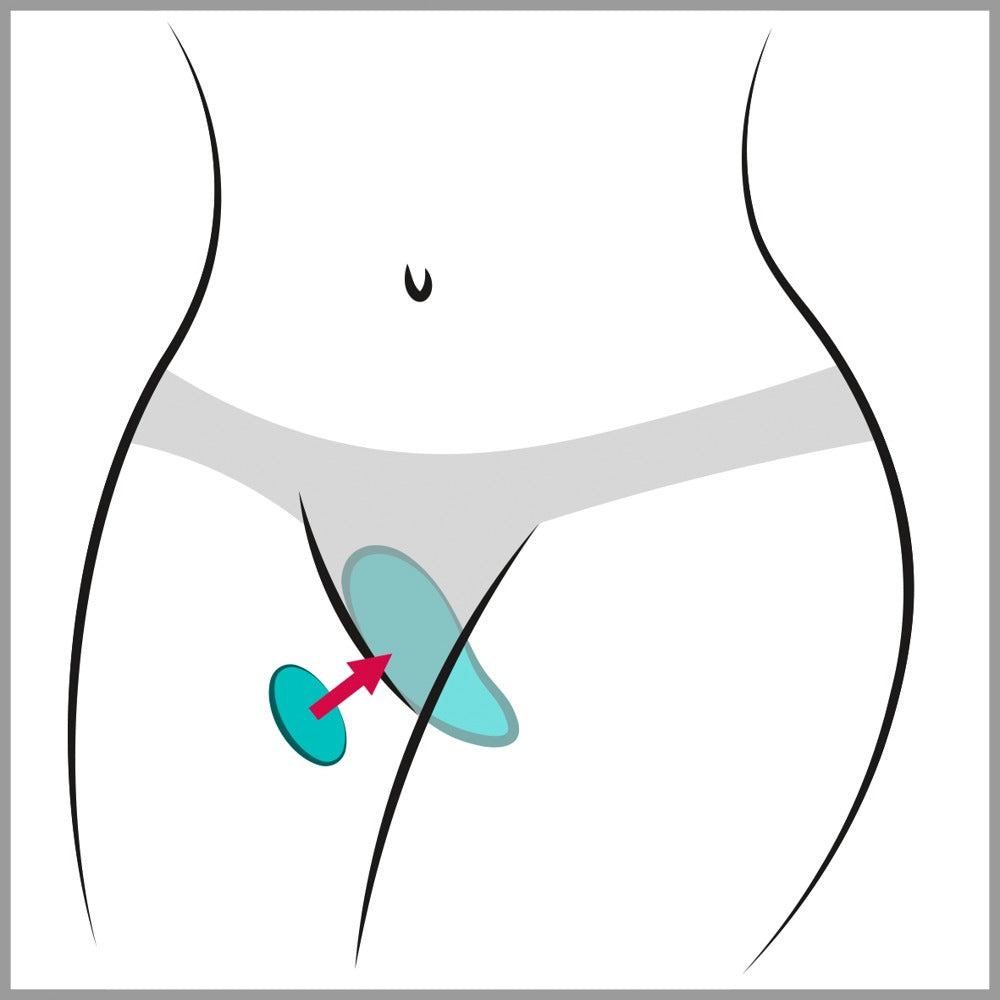 Grafik zur Trageposition des We-Vibe Moxie+ Panty-Vibrators im Slip