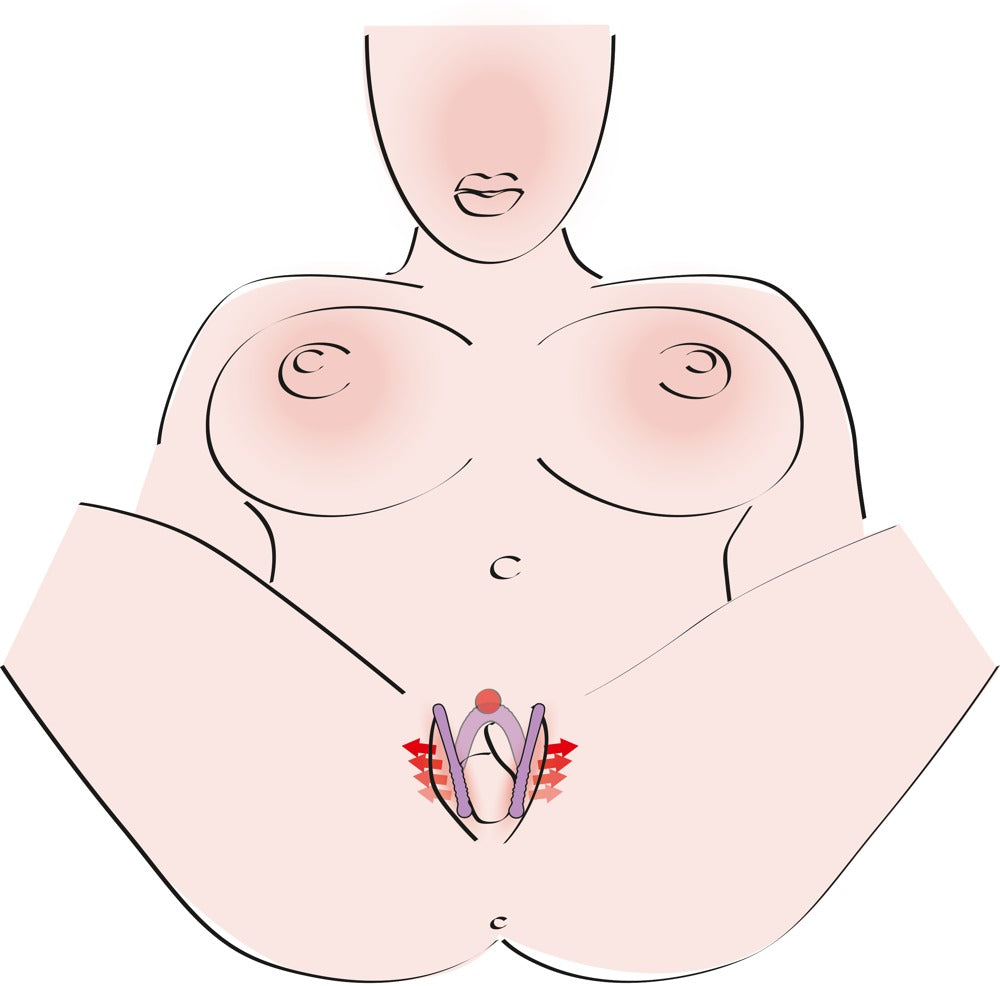 Illustrative Frontansicht zur Anwendung des You2Toys Intimate Spreader