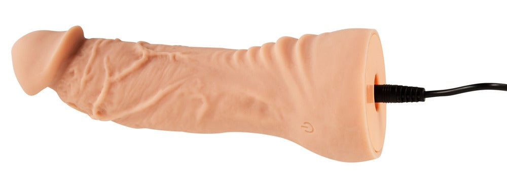 Vibrator mit Fernbedienung im Detail dargestellt